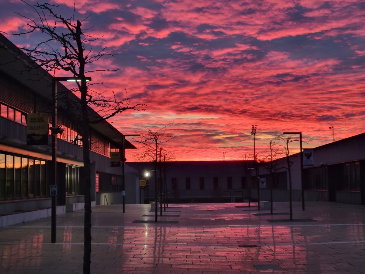 Week 233: Halloween&nbsp;🎃