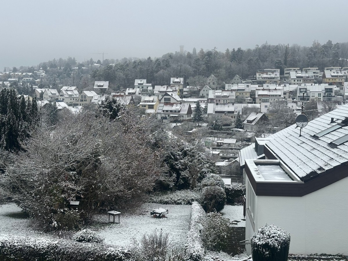 Week 236: Early&nbsp;Snow!