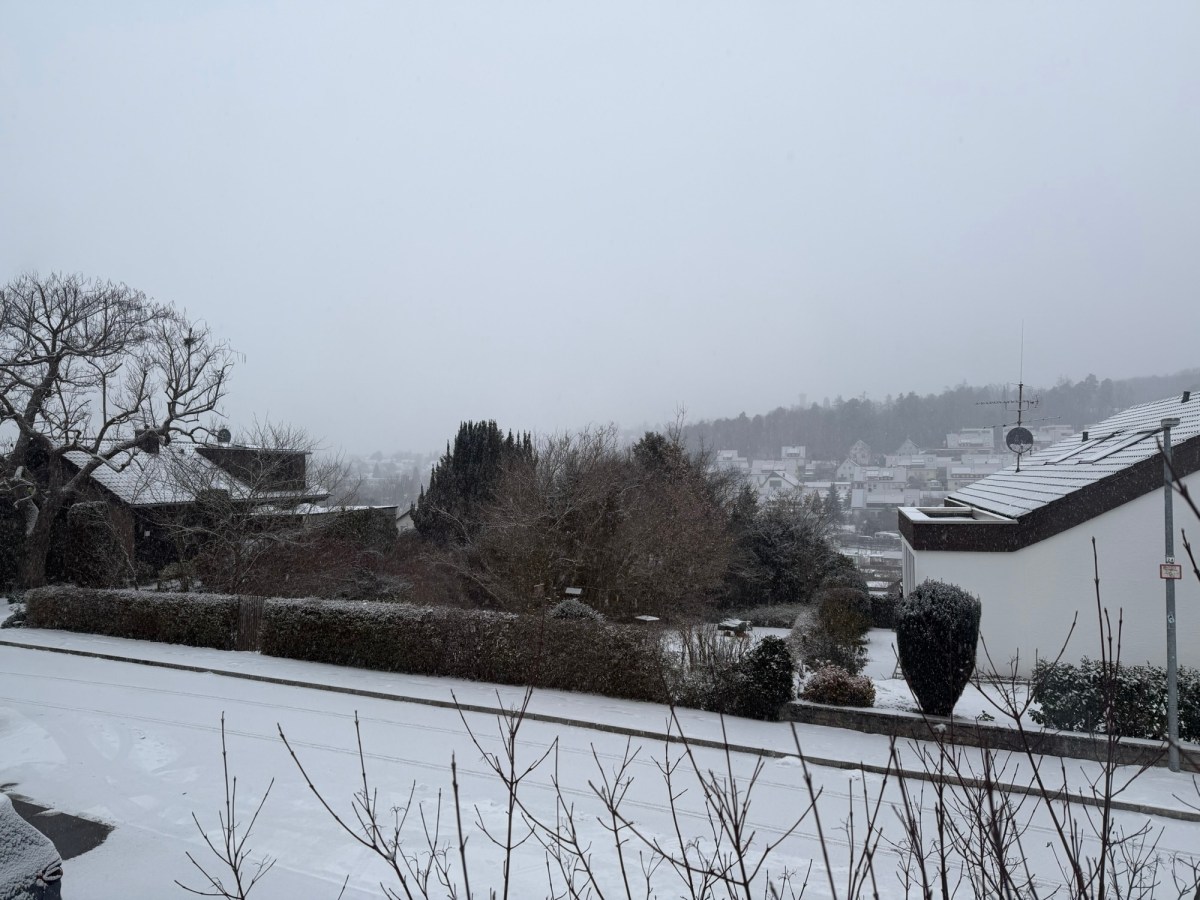 Week 243: Back in the&nbsp;Routine