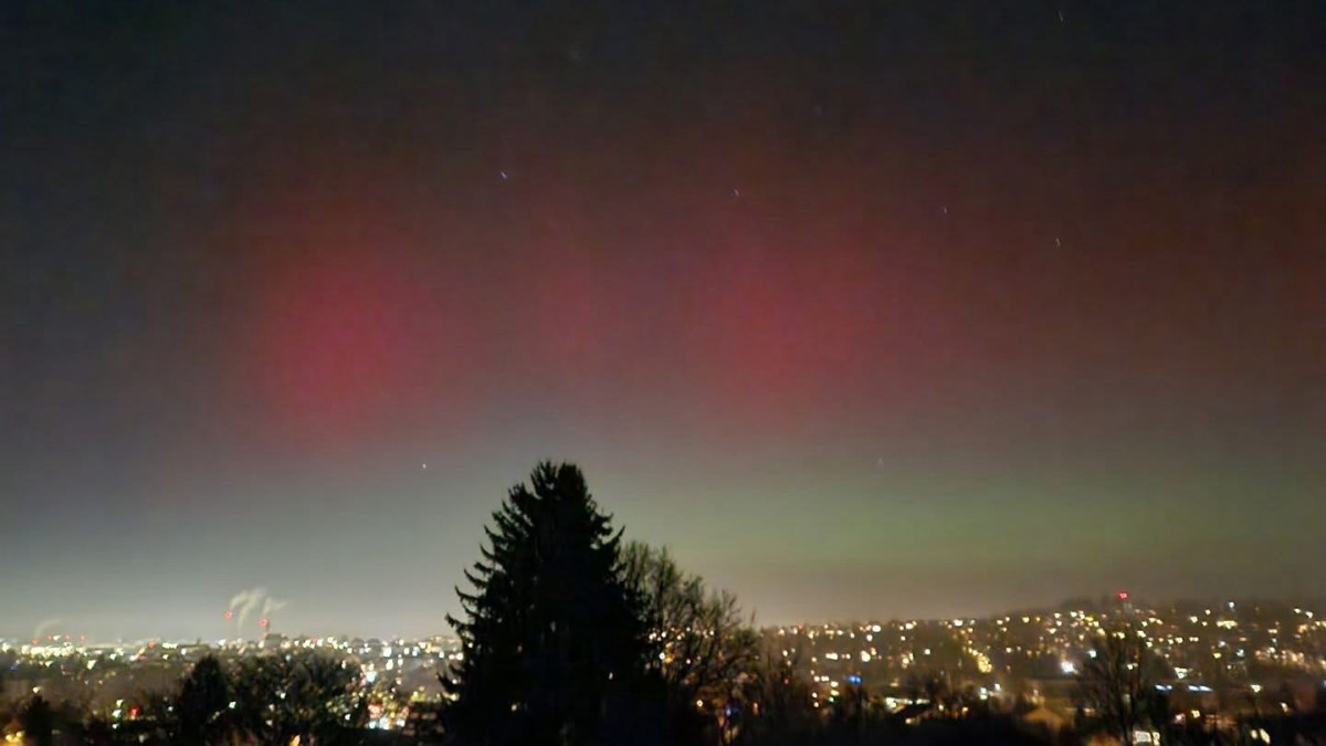 Week 245: Model UN and&nbsp;Visitors