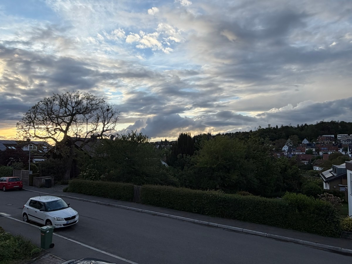 Week 260: Senior Sports Day and Mother’s&nbsp;Day