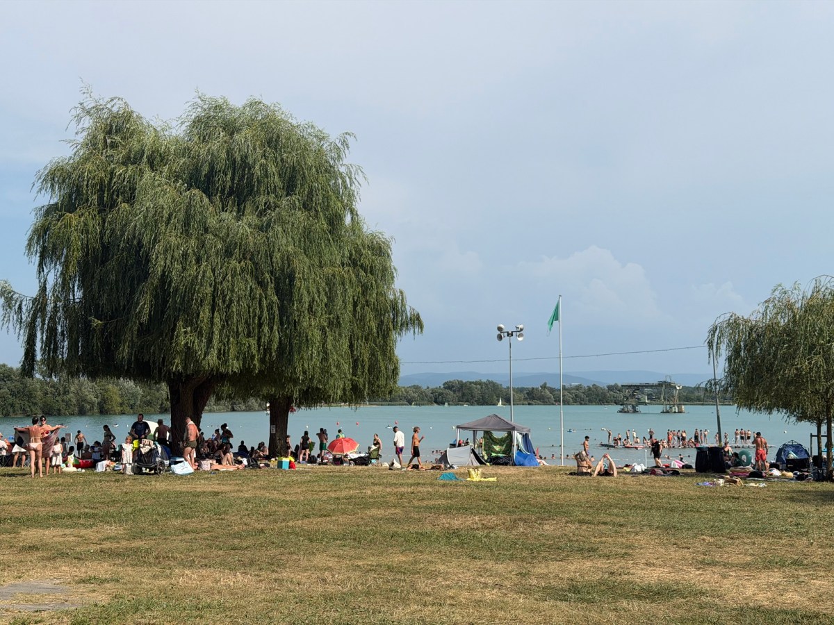 Week 267: Boiling&nbsp;Hot!