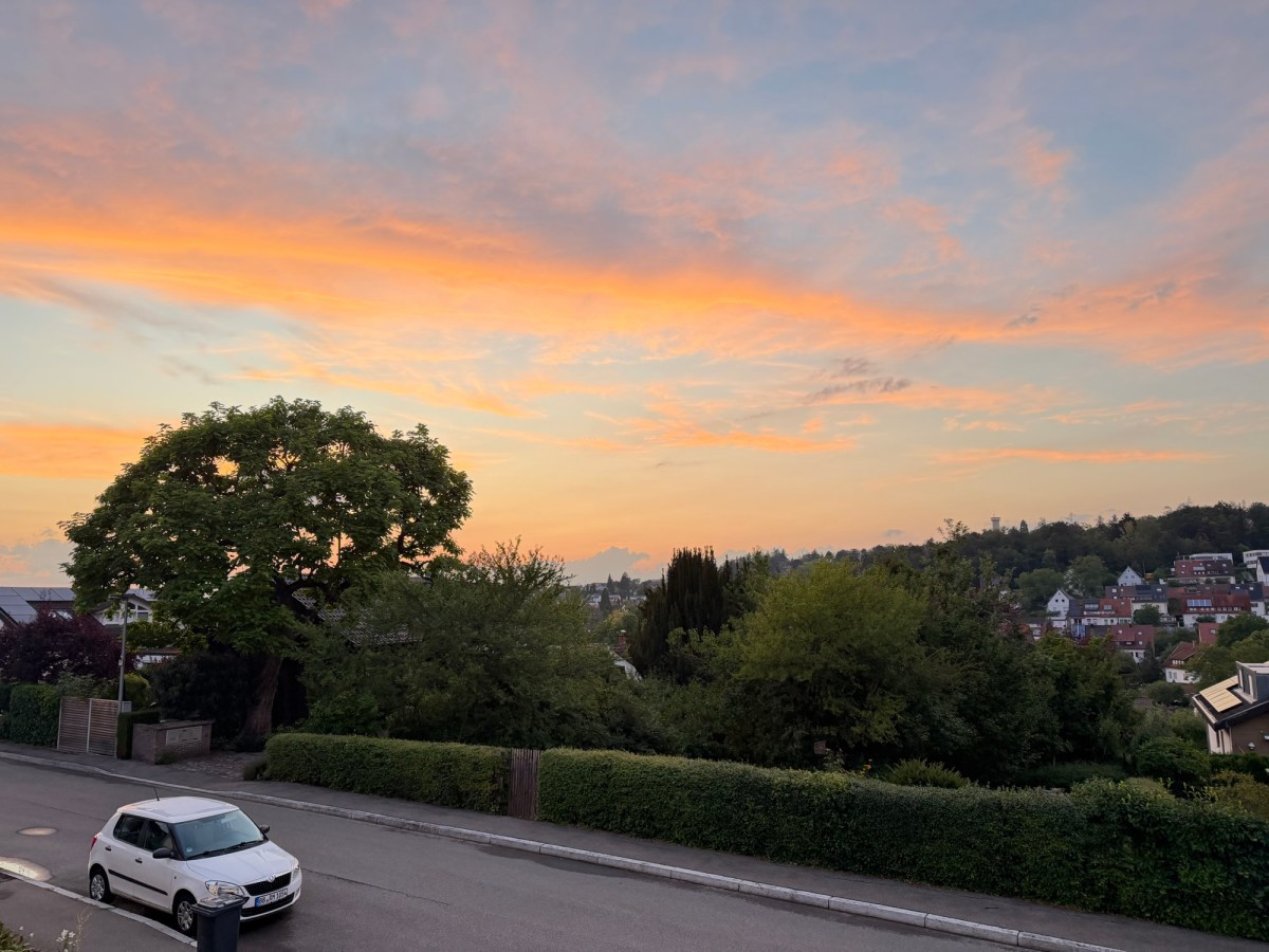 Weeks 269 & 270: Two Quiet Weeks in&nbsp;Germany
