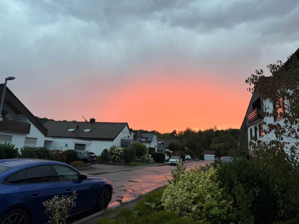 Week 276: A Quiet Week Back in&nbsp;Germany